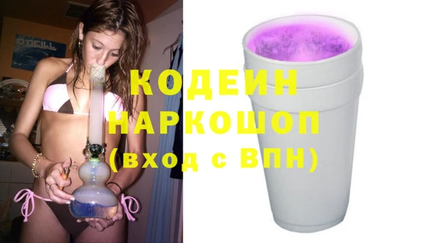 гашик Богданович