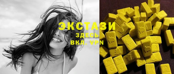 ECSTASY Богородск