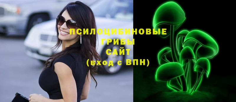 Галлюциногенные грибы Psilocybe  Каргополь 